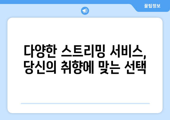 누누티비 대체 방법 안내: 합법적이고 안전한 콘텐츠 접근