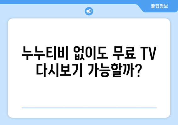 누누티비의 대체 가능한 무료 TV 다시보기 사이트