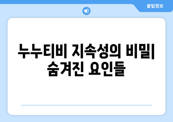 누누티비의 지속적인 존재: 대체 사이트와 다른 요인