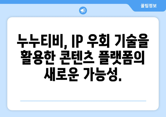 IP 우회 프로그램 유니콘 : 누누티비로 가치 상승