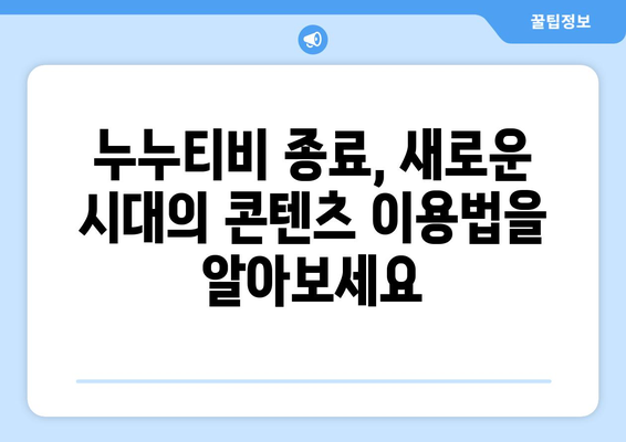 누누티비 자진 종료에 따른 대체 서비스 확보