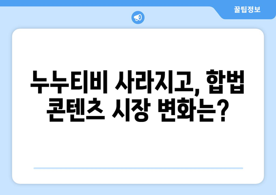 누누티비 수익과 대체 서비스 경쟁