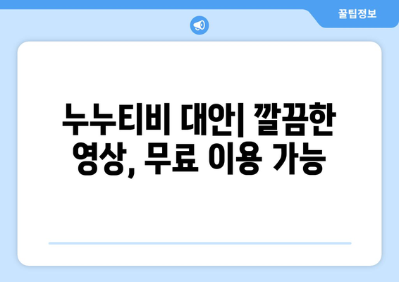 누누티비의 대망의 대체품: 광고 없는 영화와 드라마