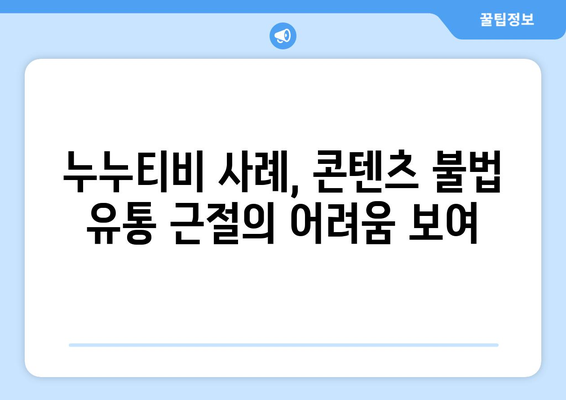 누누티비 불법 시청 차단: 