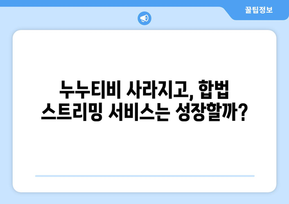 누누티비의 유산: 불법 스트리밍의 미래에 대한 영향