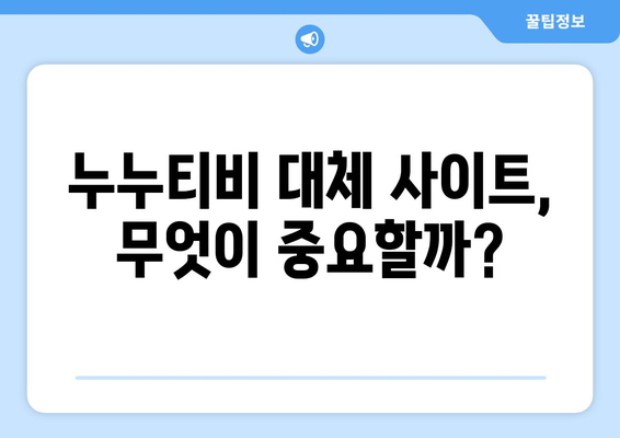 누누티비 폐쇄 이유: 대체 사이트의 필요성