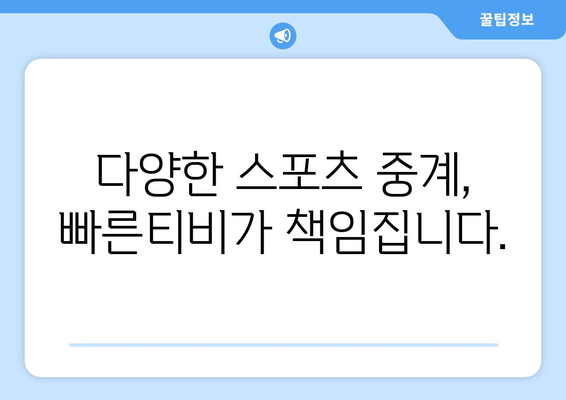 빠른티비: 모든 스포츠를 한곳에서 모아보기