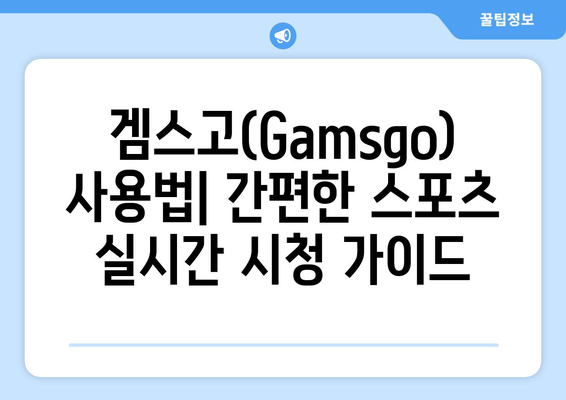 누누티비 대체 겜스고(Gamsgo) 활용법