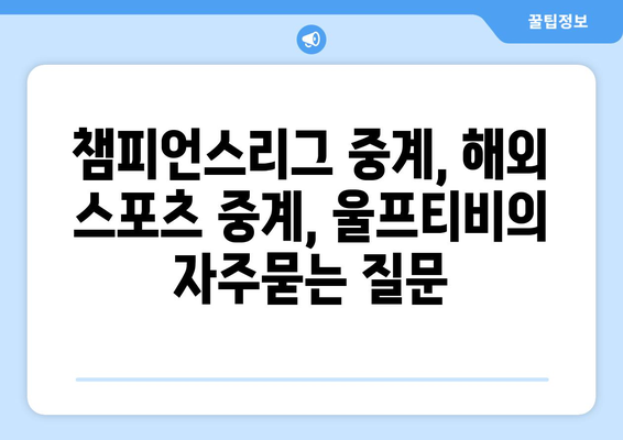 챔피언스리그 중계, 해외 스포츠 중계, 울프티비