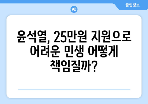 윤석열의 경제 대안, 25만원 민생회복 지원금