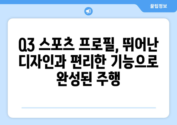 스마트 전기자전거 Q3 스포츠 프로필 사양