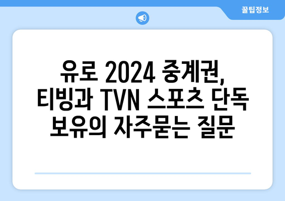 유로 2024 중계권, 티빙과 TVN 스포츠 단독 보유