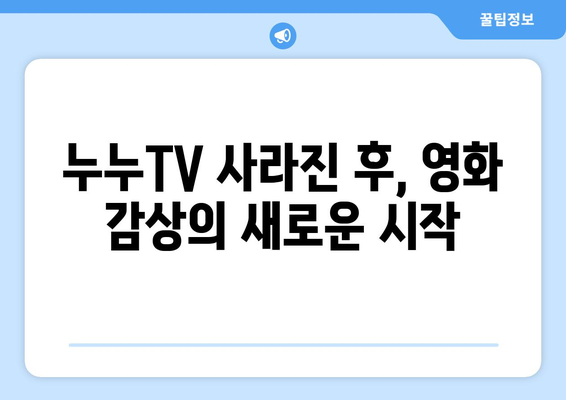 누누TV 불법복제 사이트 폐쇄, 대체 플랫폼 탐색