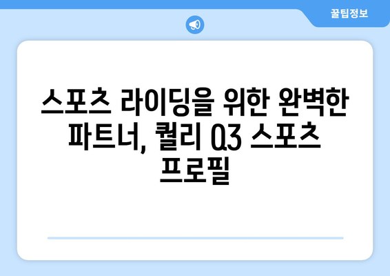 퀄리 Q3 스포츠 프로필 전기자전거 소개