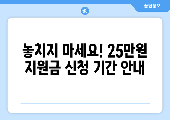 민생회복 지원금 25만원 신청 기간 확인