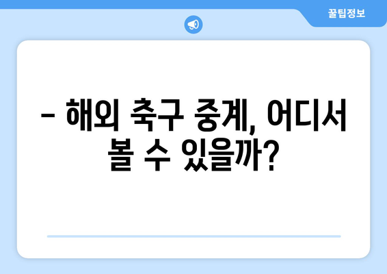 챔피언스리그 중계 및 해외 축구 중계 실시간 시청 방법