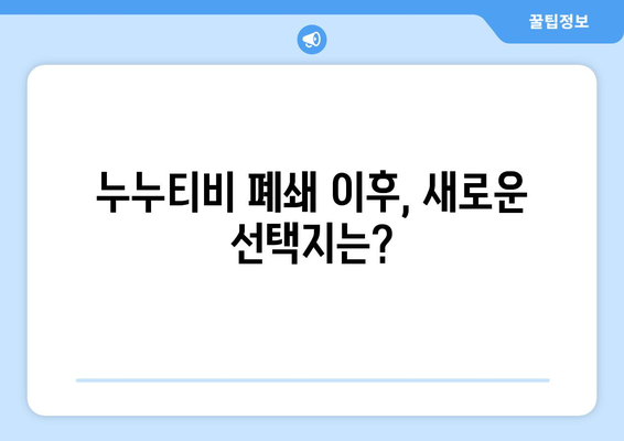 대체 채널 없는 누누티비