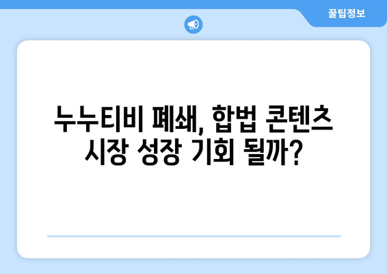 누누티비 333억 수익: 대체 서비스 등장