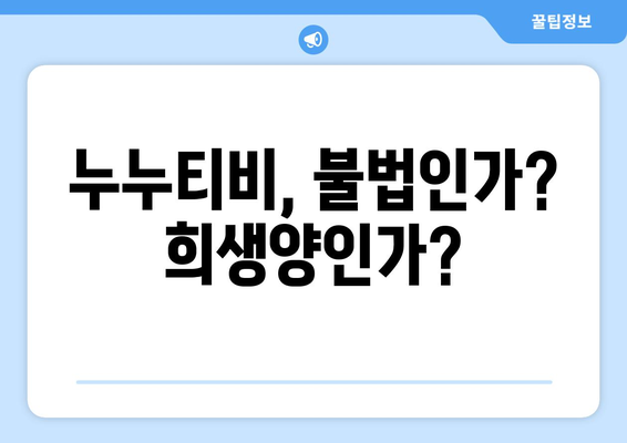 누누티비: 희생양인가?