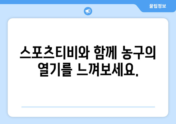 스포츠티비가 선물하는 농구 경기: 몰입적인 시청 경험