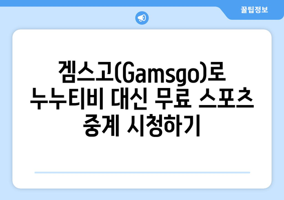 누누티비 대체 겜스고(Gamsgo) 활용법