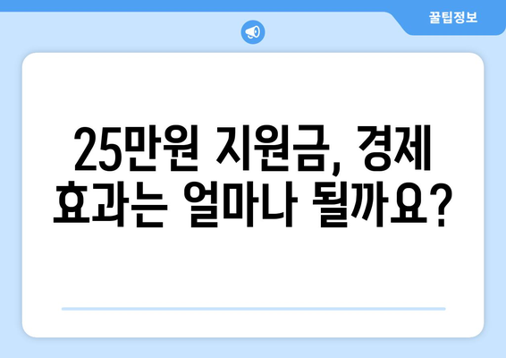 민생회복지원금 25만원 발행 가능성