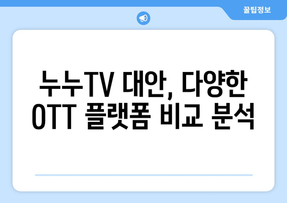 누누TV 불법복제 사이트 폐쇄, 대체 플랫폼 탐색