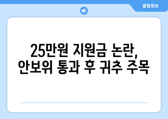 "25만원지원금" 논란이 국회 안보위 통과