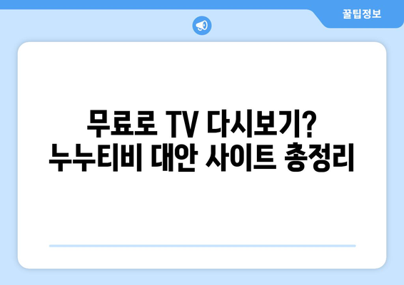 누누티비의 대체 가능한 무료 TV 다시보기 사이트