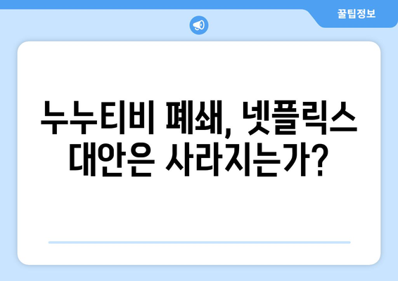 넷플릭스의 대안? 누누티비 종료로 불법 스트리밍 사이트의 미래