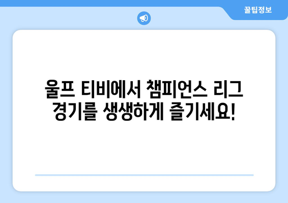 챔피언스 리그 중계 실시간으로 울프 티비에서