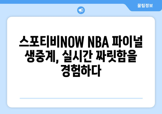 스포티비NOW NBA 파이널 생중계 관람 후기