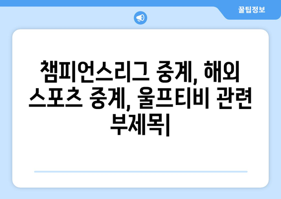 챔피언스리그 중계, 해외 스포츠 중계, 울프티비