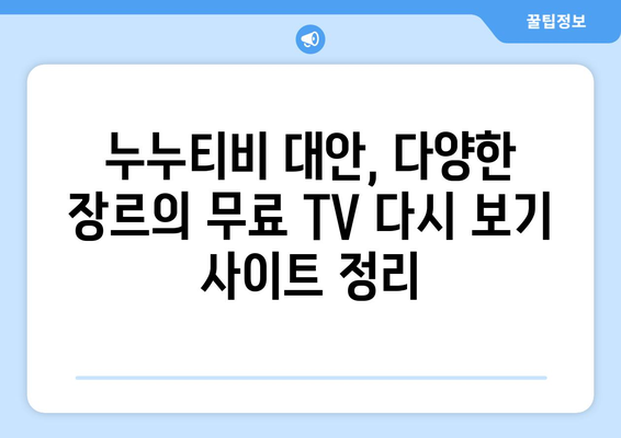 누누티비의 대안: 무료 TV 다시 보기 웹사이트