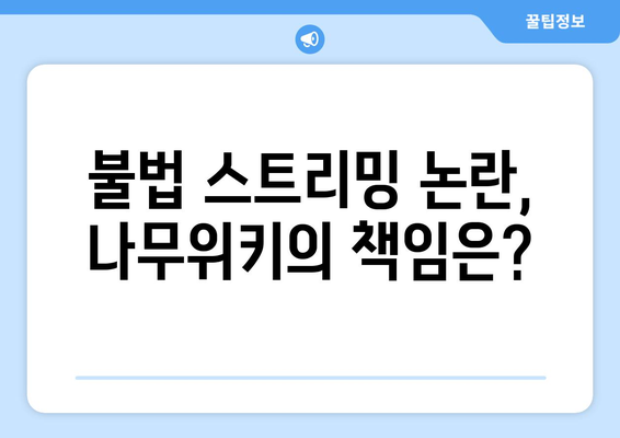 나무위키의 누누티비 운영 의혹 논란 지속