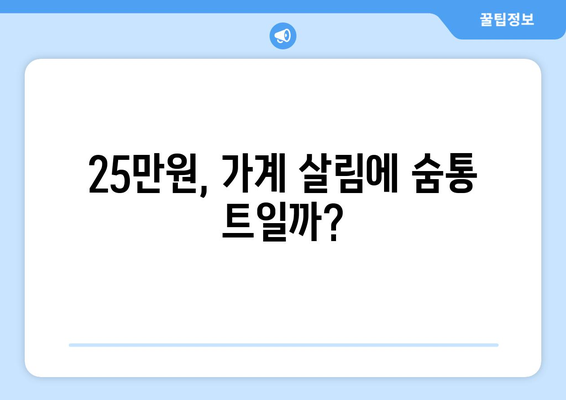 25만원 특별지급금: 가계 소득 증가에 기여