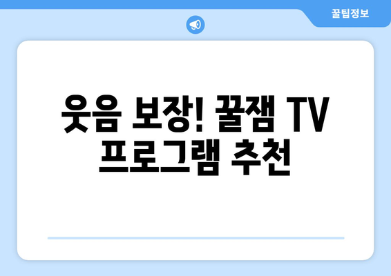 웃기고 재미있는 TV 프로그램