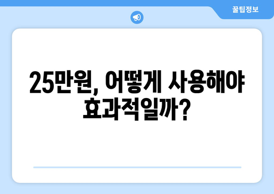 전국민 대상 지급되는 25만원 민생지원금: 자세한 설명