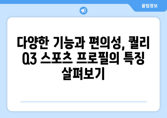 퀄리 Q3 스포츠 프로필 전기자전거 소개