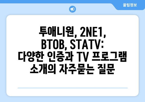 투애니원, 2NE1, BTOB, STATV: 다양한 인증과 TV 프로그램 소개