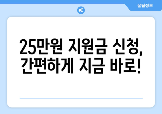 이재명 민생 지원금 25만원 신청 방법 가이드