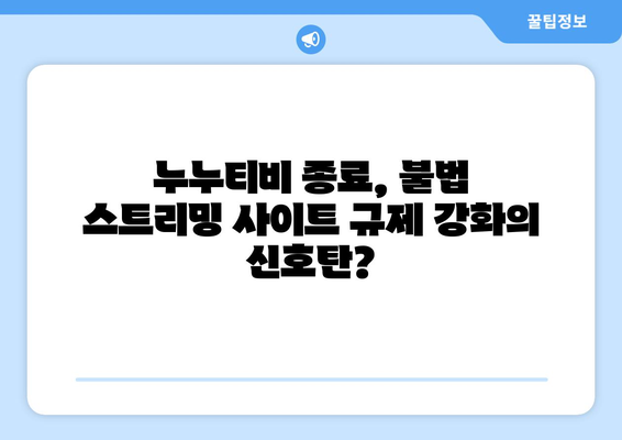 누누티비 종료 자진: 대체 사이트의 출현