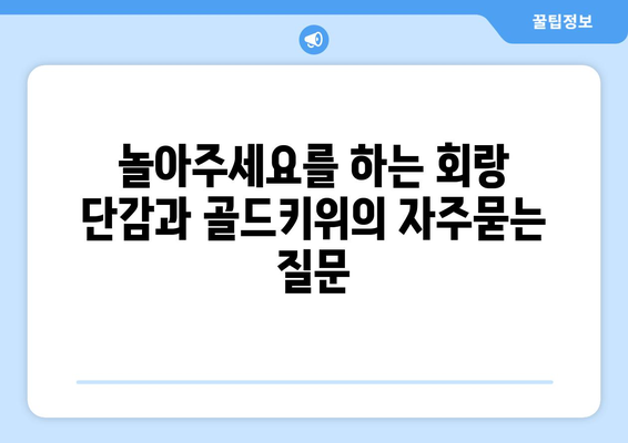 놀아주세요를 하는 회랑 단감과 골드키위