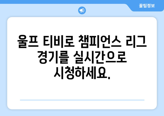 챔피언스 리그 중계 실시간으로 울프 티비에서