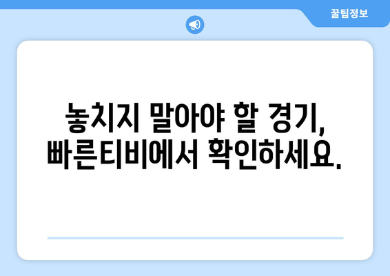 빠른티비: 모든 스포츠를 한곳에서 모아보기