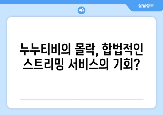 누누티비 종료: 대체 서비스 출현 가능성