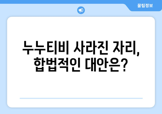 누누티비 폐쇄: 대체 채널 부재