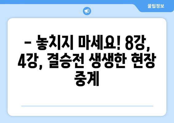 골프토너먼트 중계 일정: 8강, 4강, 결승전