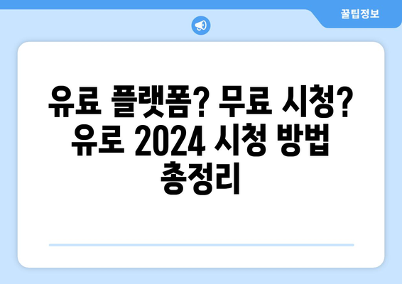 유로 2024 중계권, 스포티비에서 방송되지 않는다