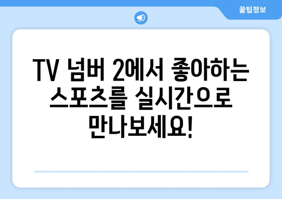 실시간 스포츠의 전당: TV 넘버 2에서 모든 스포츠 한번에